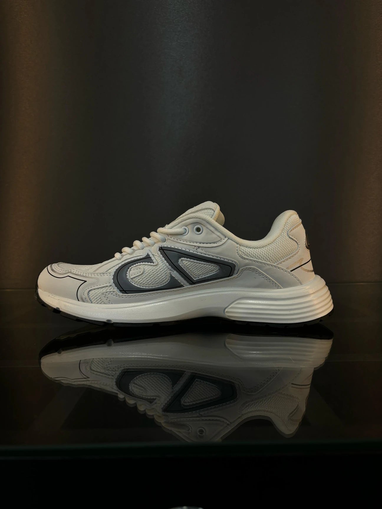 Dior b30 shoes