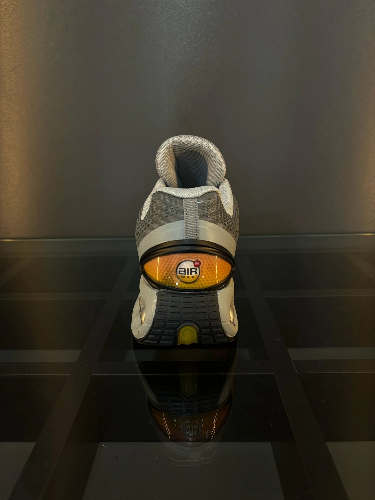 Nike air max dn
