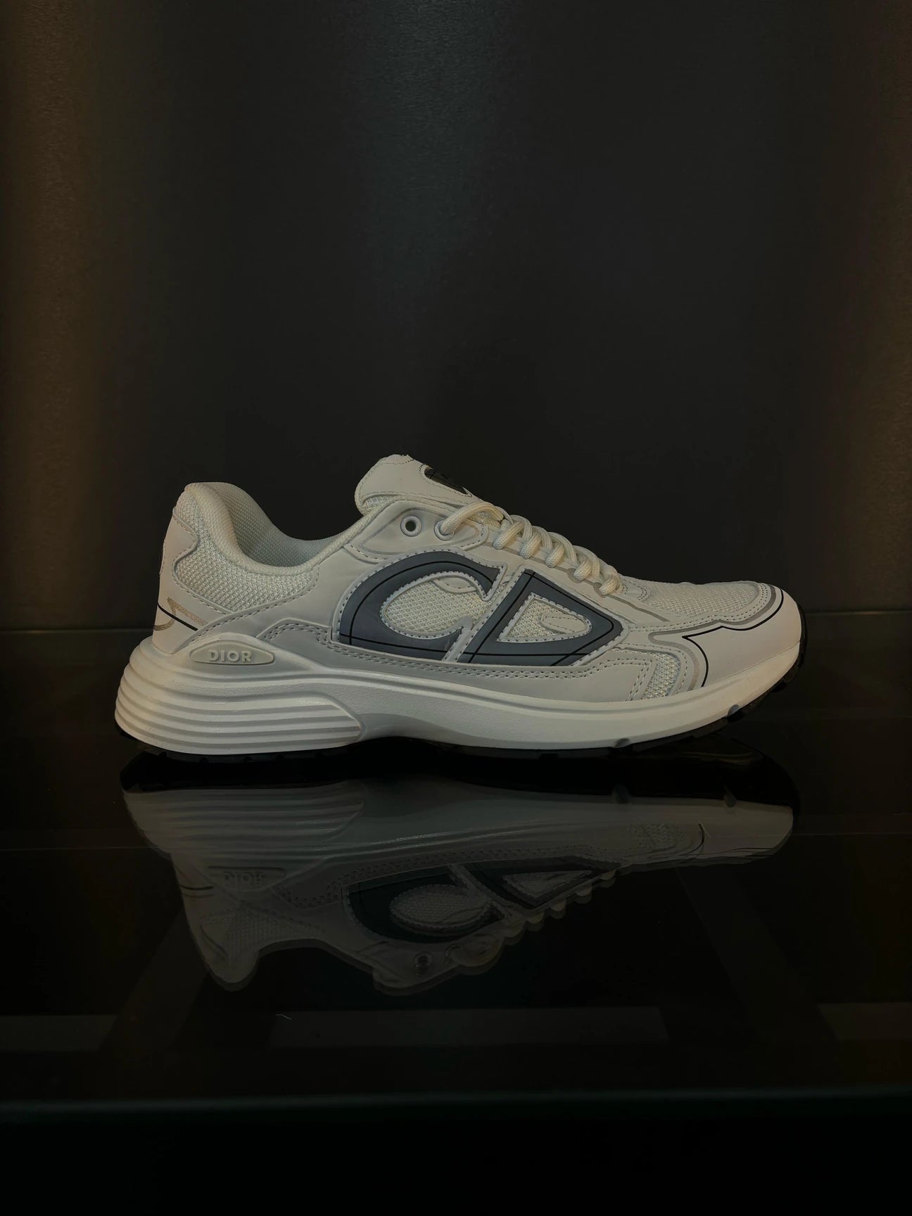 Dior b30 shoes