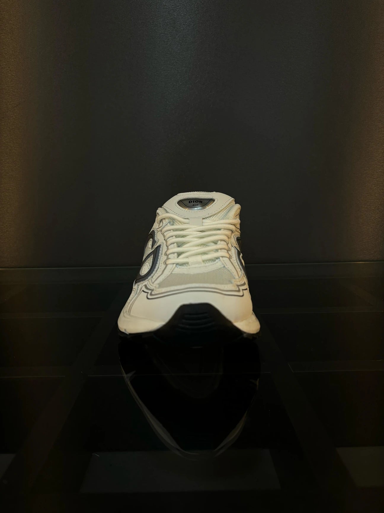 Dior b30 shoes