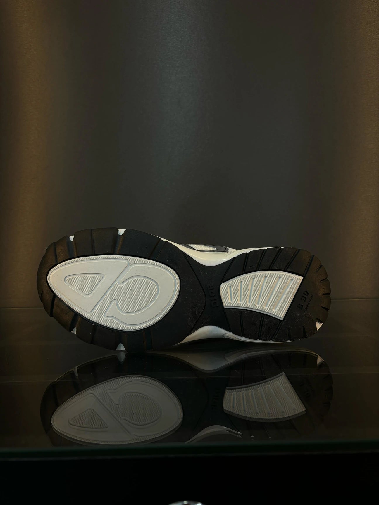 Dior b30 shoes