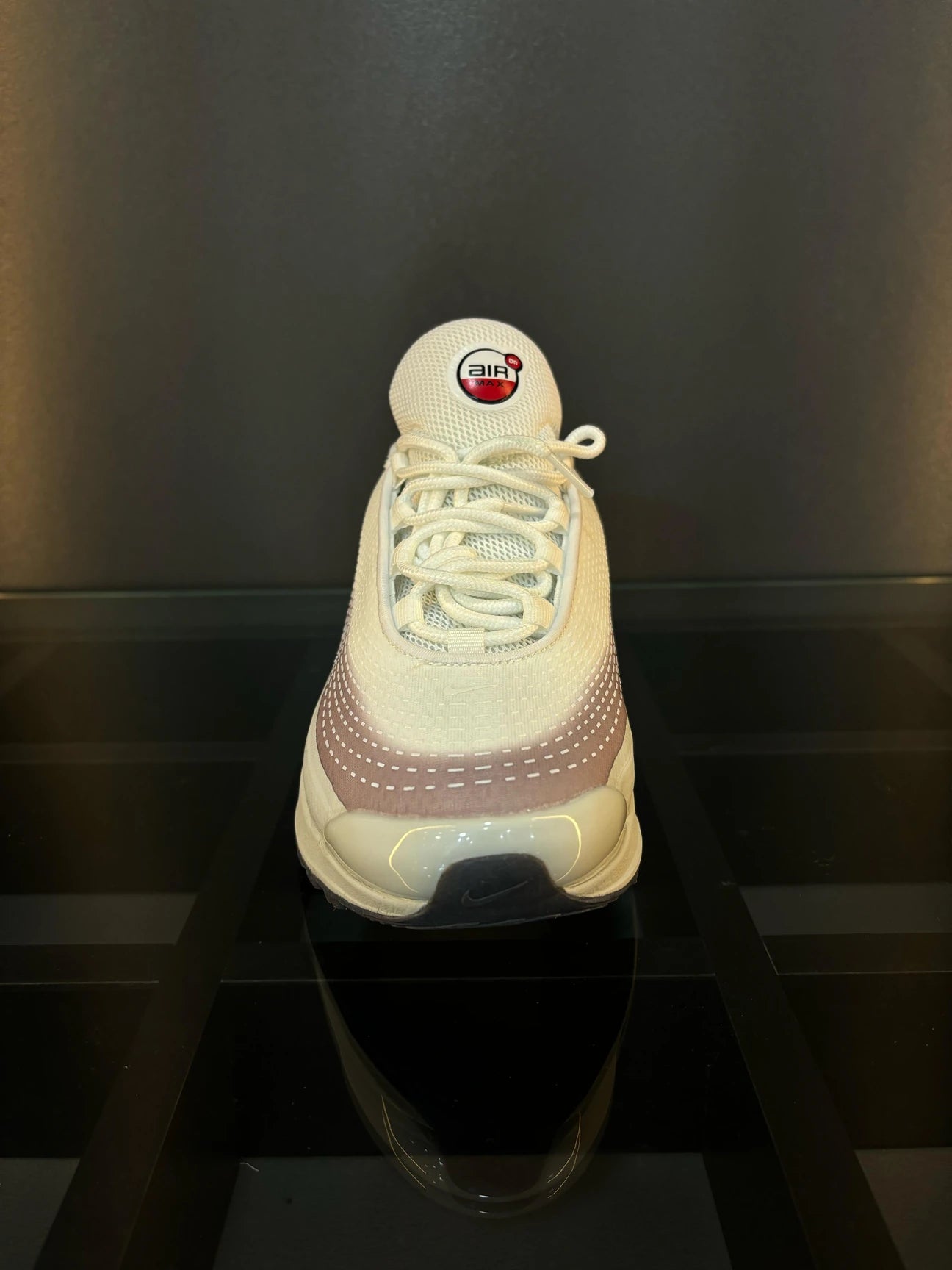 Nike air max dn