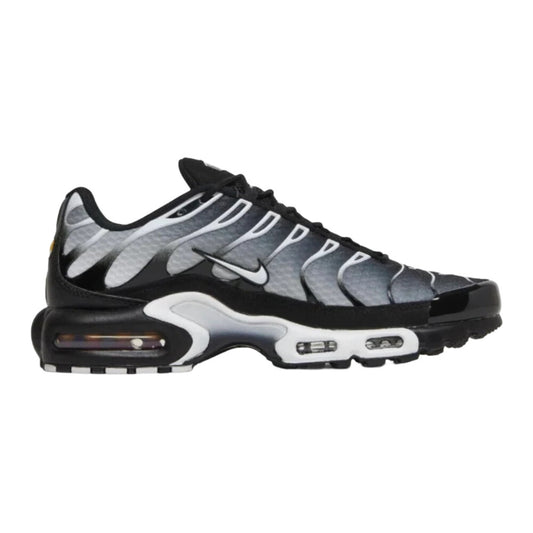 Nike air max plus shoe