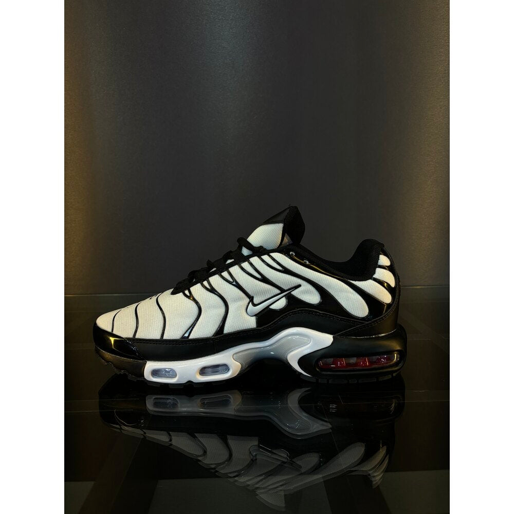 Nike air max plus shoe