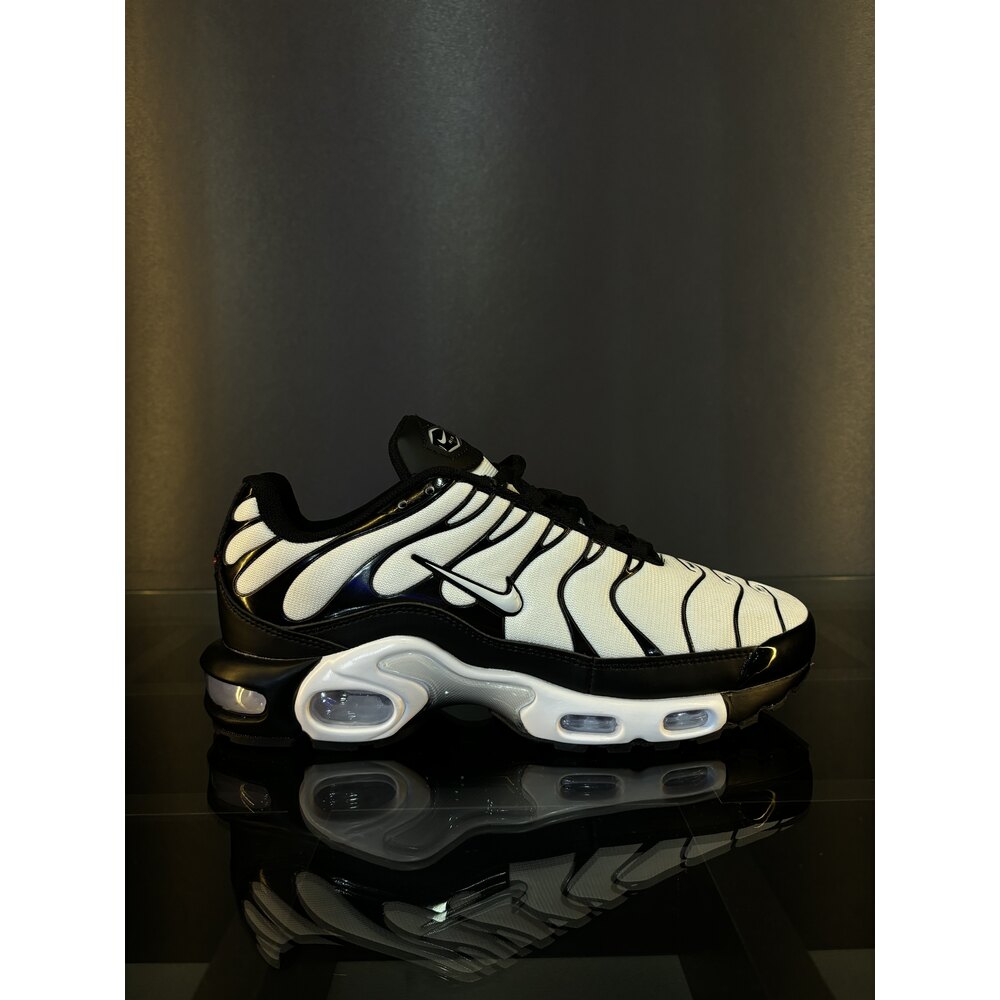 Nike air max plus shoe