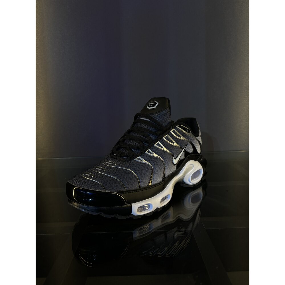 Nike air max plus shoe