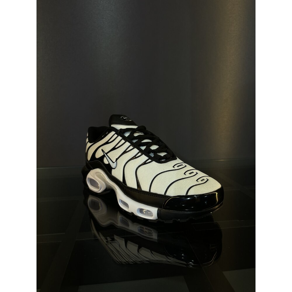 Nike air max plus shoe